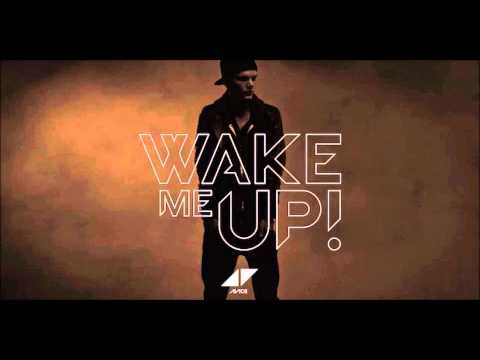 Avicii-Wake Me Up|Ni.Sia&Wario 'WTF' Edit