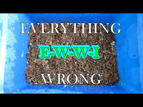Introducing the EWWI Worm Bin: Everything Wrong With It