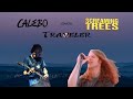 Calebo - Traveler (Screaming Trees cover)