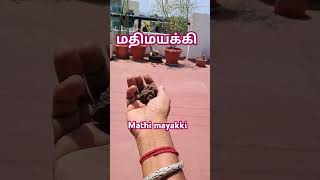 Download lagu #மதிமயக்கி#Mathimayakki#போகர்கஜம்#போகர்வணம்#பூம்பாறை#Amanushyam mp3 Download lagu #மதிமயக்கி#Mathimayakki#போகர்கஜம்#போகர்வணம்#பூம்பாறை#Amanushyam mp3