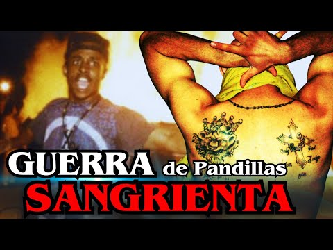 CRIPS vs BLOODS: La GUERRA de PANDILLAS más BRUTAL de ESTADOS UNIDOS