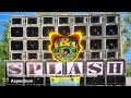 SPONGEBOB BRAZIL TIKTOK TREND DJ RB BERNARDINO 2026
