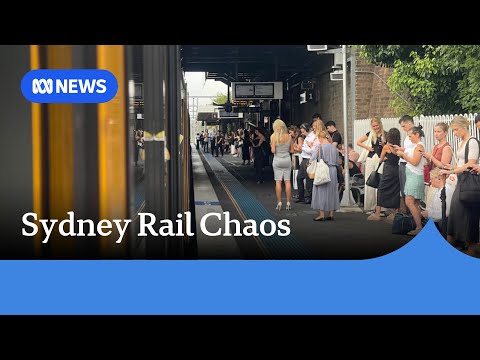Sydney rail chaos continues amid industrial action and storm damages | ABC News