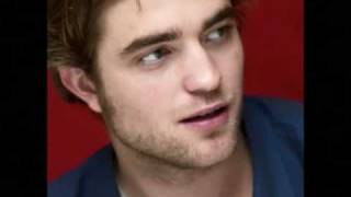 Robert Pattinson stray dog