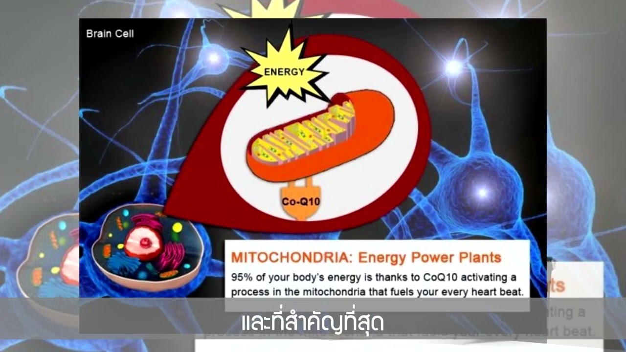 HRT  บำรุงหัวใจและหลอดเลือด สารอาหารเสริมหัวใจ 7 ชนิดใน 1 ซอง English