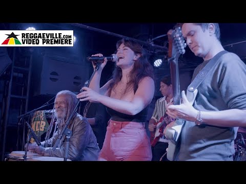 Reggaeville and SunDub