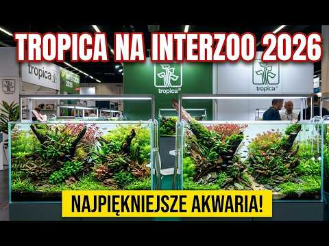 Nowości na targach w Norymberdze 2026