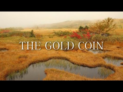 The Gold Coin