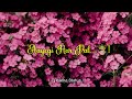 Aayegi Har Pal Tujhe Meri Yaad Whatsapp Status Dj Kanha Status