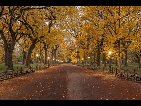 NYC Photography: Central Park in Fall