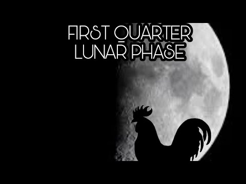 Lunar| First Quarter Phase (Part 2 Of 4)