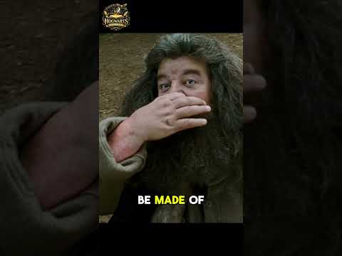 Learn About Bowtruckles