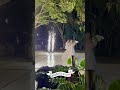 Fenix Event Productions Casa Bea Miami Wedding