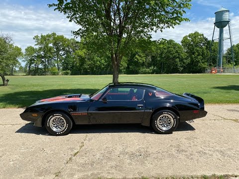 1980 Pontiac Firebird (CC-1346050) for sale in Shelby Township, Michigan