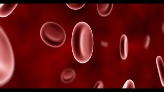 Physiology | Blood | 3rd lecture | part 2  | Dr.Nagi | Arabic