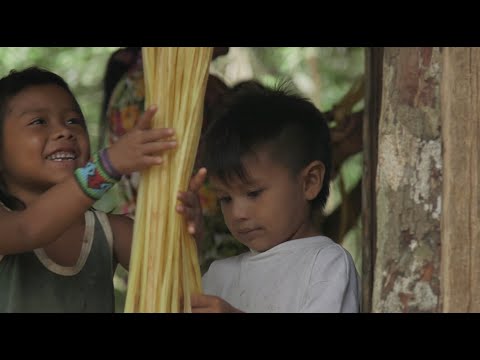 Yawanawá village life