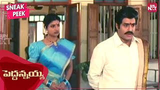 Download lagu Balakrishna as a loving brother | Peddannayya | Telugu | Roja | Indraja | SUN NXT mp3 Download lagu Balakrishna as a loving brother | Peddannayya | Telugu | Roja | Indraja | SUN NXT mp3