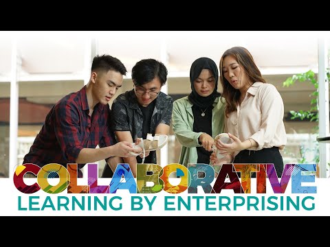 Prasmul Connect