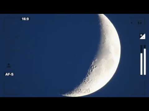 Our team killed VGTR, 2