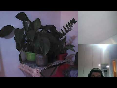 HIPNOZA REGRESIVA 451 CONSTANTIN SI CE SE INTAM  LA CUNUNII A SI C MORARU