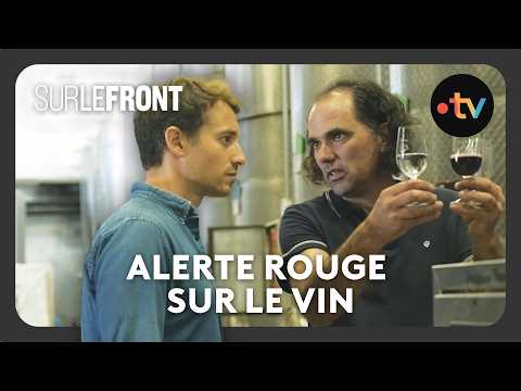 Alerte rouge sur le vin (Intégrale) - Sur le front avec Hugo Clément