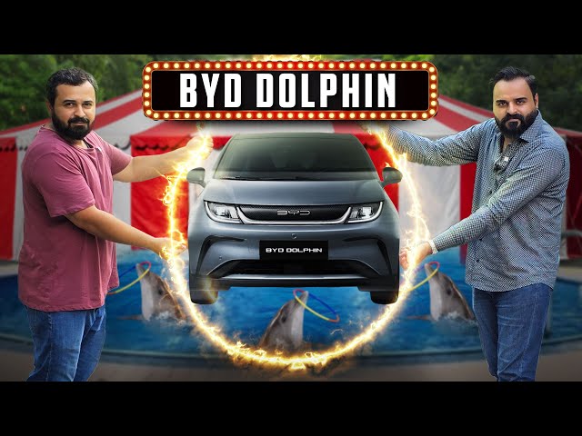 بی وائی ڈی ڈولفن کے اندر کیا ہے – مالک کا جائزہ