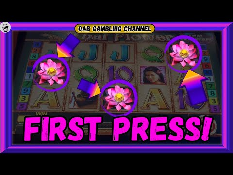 FIRST PRESS EXPRESS On Thai Flower! 🌷