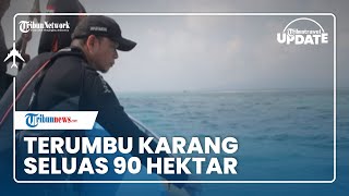 Trip Snorkeling di Gusung Perlang Bangka Tengah, Keindahan Terumbu Karang 90 Hektar Menghipnotis