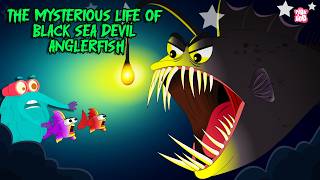 The Black Sea Devil | Life of Deep Sea Devil Anglerfish | Creepiest Fish in The Ocean | Dr. Binocs