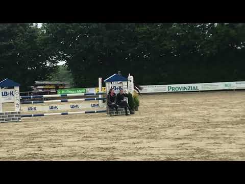 5yo Pilothago x Satisfaction SPF A**