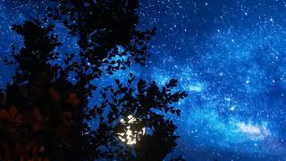 Chris Brown - Party Hard / Cadillac (Slowed+Reverb)