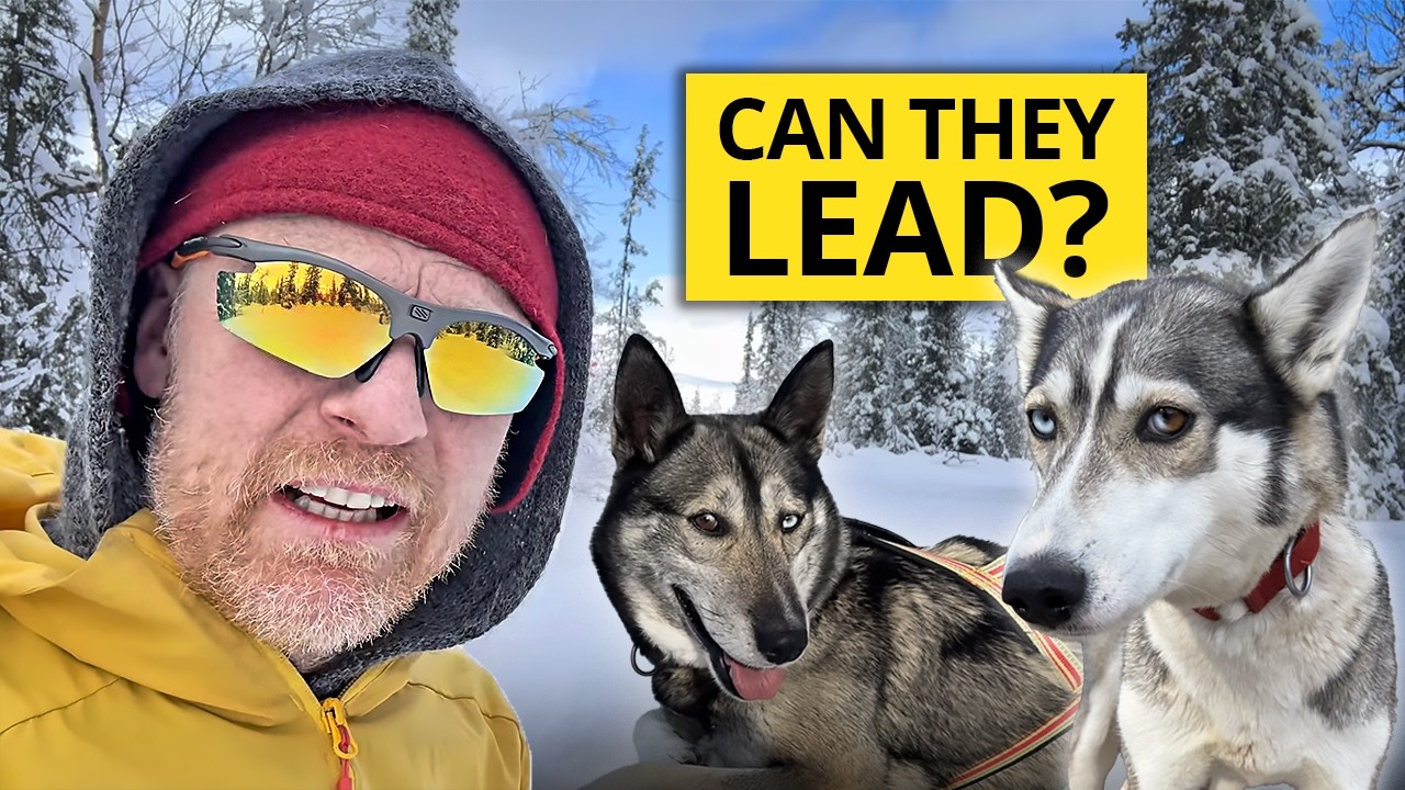Testing 2 New Lead Dogs | Do They Have What It Takes?