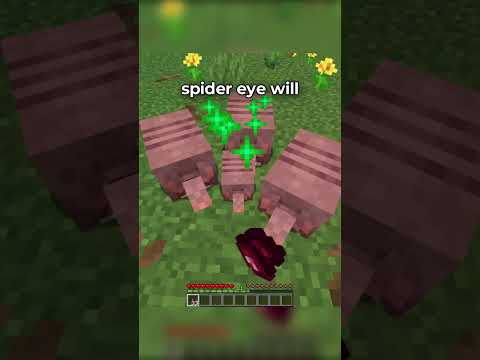 BEST MINECRAFT TIPS OF ALL TIME