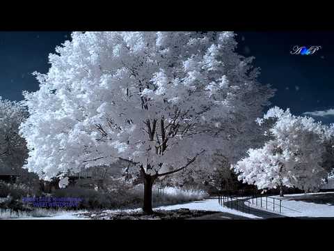 Download Kristin Amarie David Lanz Sweet Winter Love feat David Lanz
Mp3 dan Mp4 2019