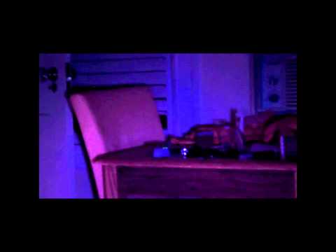 Kenilworth Lodge Video 1