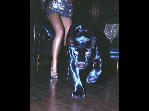 dum vivimus vivamus - prod. by RMGN (instrumental)