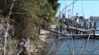 preview picture of video 'Carrabelle and the Governor Stone'
