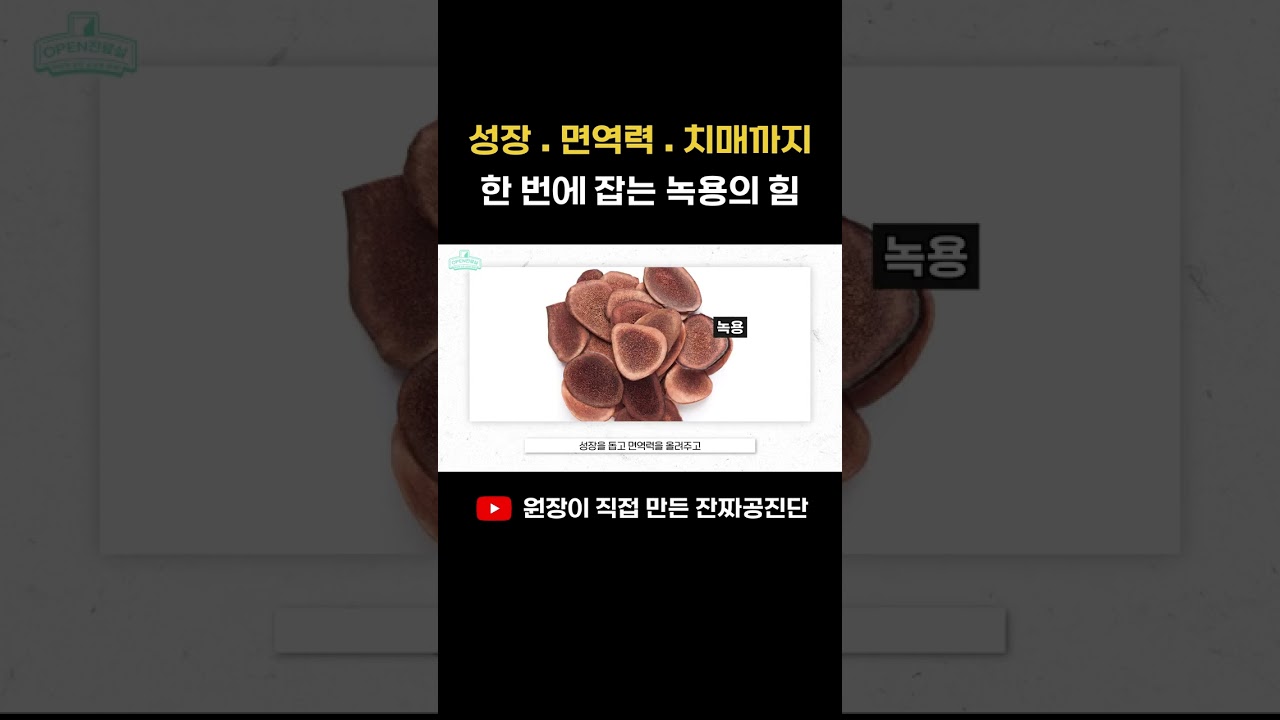 녹용이란 효능과 어떤 분에게 도움이 되는지 한눈에 정리 intro 8NdMtG 관련 영상 썸네일
