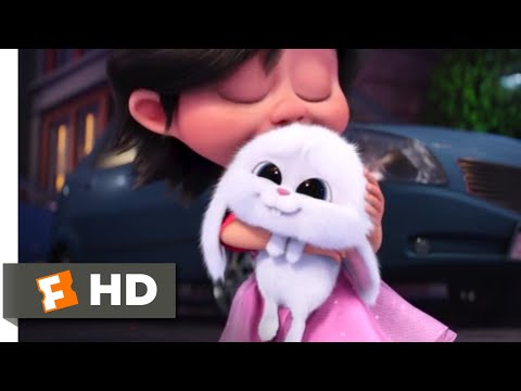 The Secret Life of Pets - Puppy (And Bunny) Love