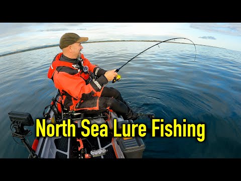 Great Lure Session Catching Cod, Pollack, Wrasse and Pout - Kayak Sea Fishing UK