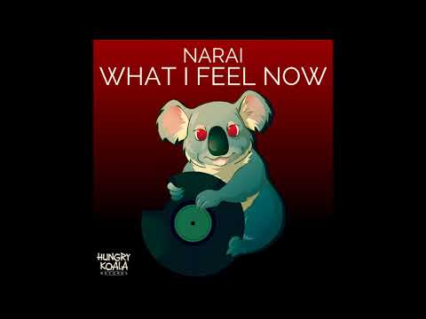 Narai - What Feel Now (Original Mix)