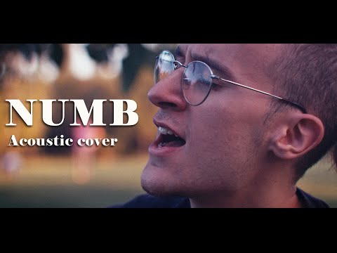 Linkin Park - NUMB (Acoustic/Folk Cover)