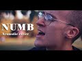 Linkin Park NUMB Acoustic Folk Cover