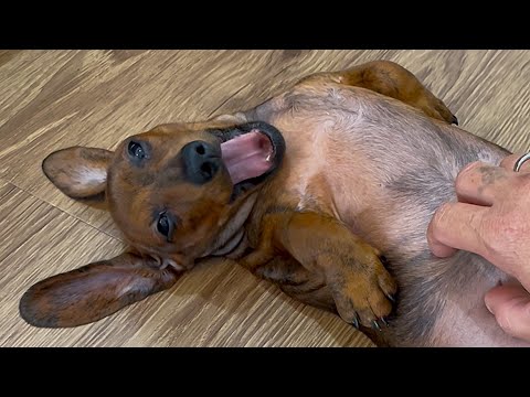 YouTube 썸네일
