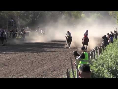 PRADELIO Club Hípico Riveras Neuquinas - Vista Alegre Sur - 22 de Marzo de 2026