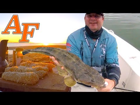 Delicious Flathead Catch and Cook w Loads of Barramundi Jacks and Cod EP.415