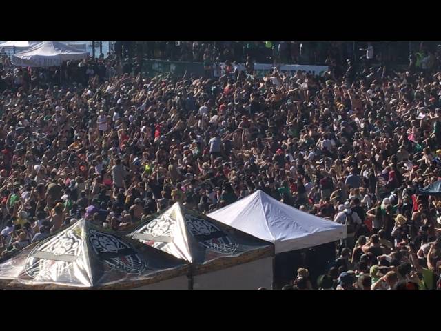 Crowd from the hill, Sunset Beach 2016