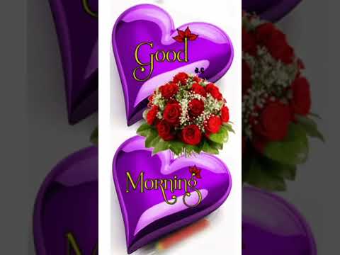  Good morning love gifs for whatsapp on the go