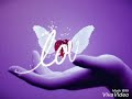 Whatsapp Status Video