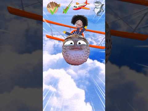 The End Story of Puffer Fish ❗❗🤣 #animalforkids #funnymemes